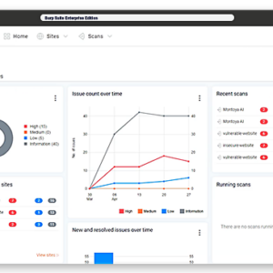 burpsuite enterprise screenshot